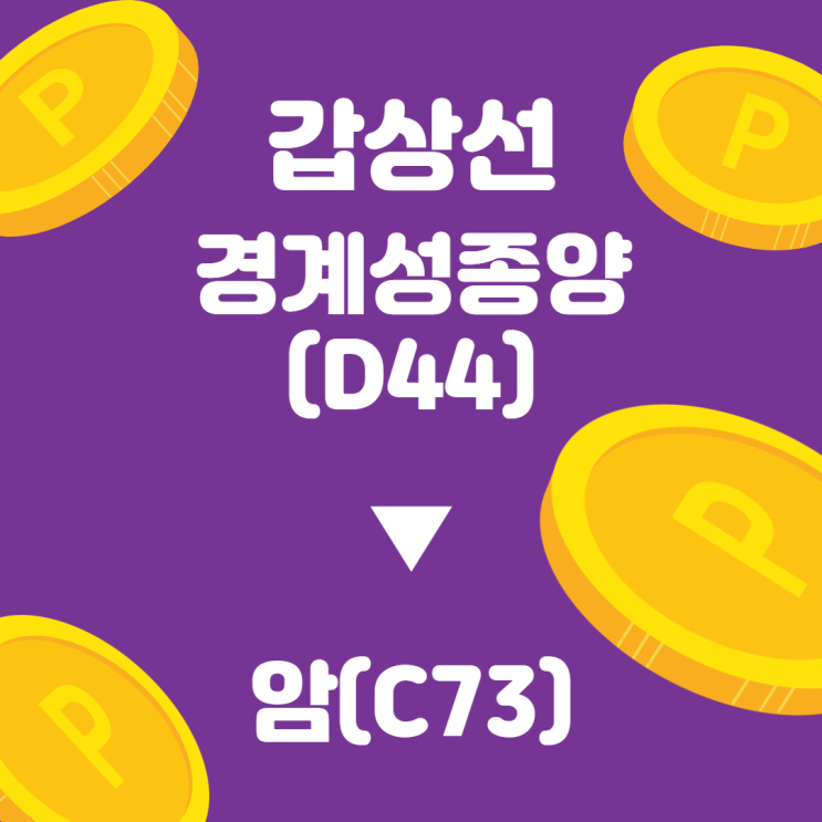  [성공사례 #12] 갑상선 경계성종양(D44), 일반암(C73) 진단비 받았습니다.