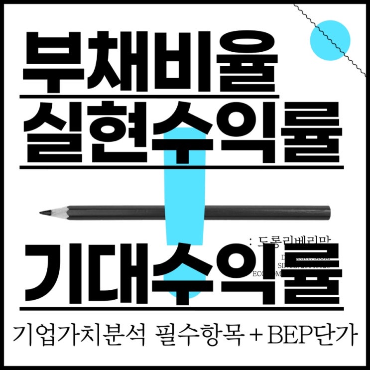  주식사는법 :: 부채비율 실현수익률 기대수익률 (ft.BEP단가)