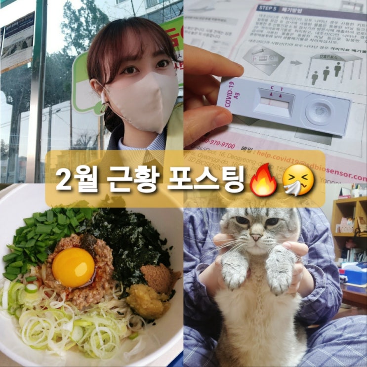  어딘가 어수선한 2월 근황 포스팅,,c자가검사키트후기/청주모치모치소바/엄마감자탕/자담돈/올림픽
