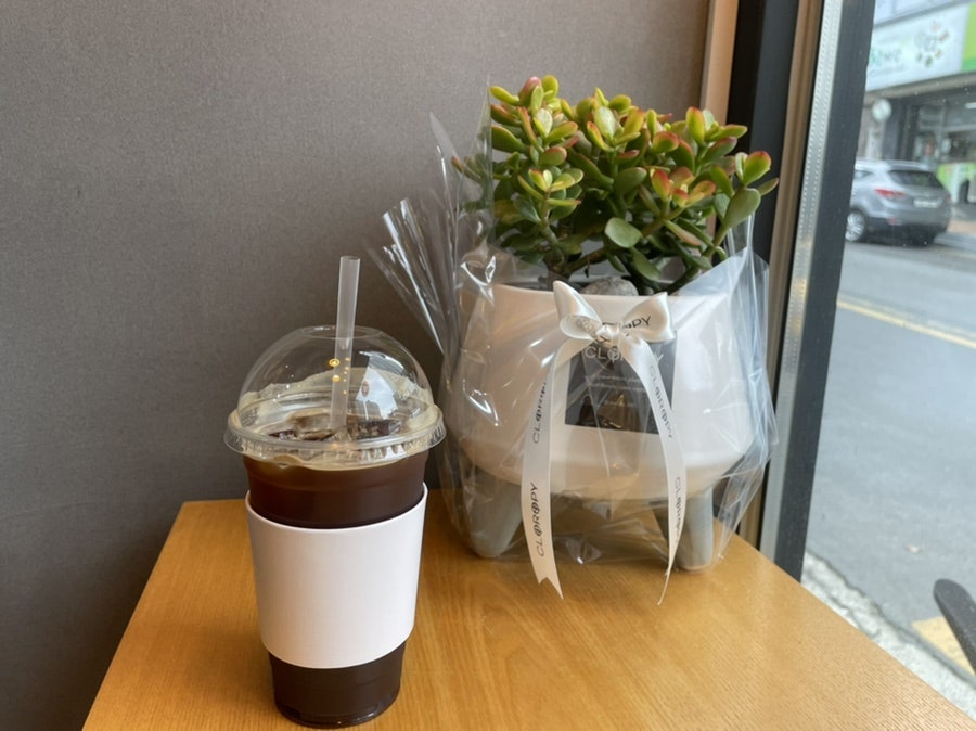 커피나무 포항장량점 사진 5