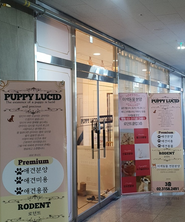  [리뷰] 로던트클럽 향동점 방문