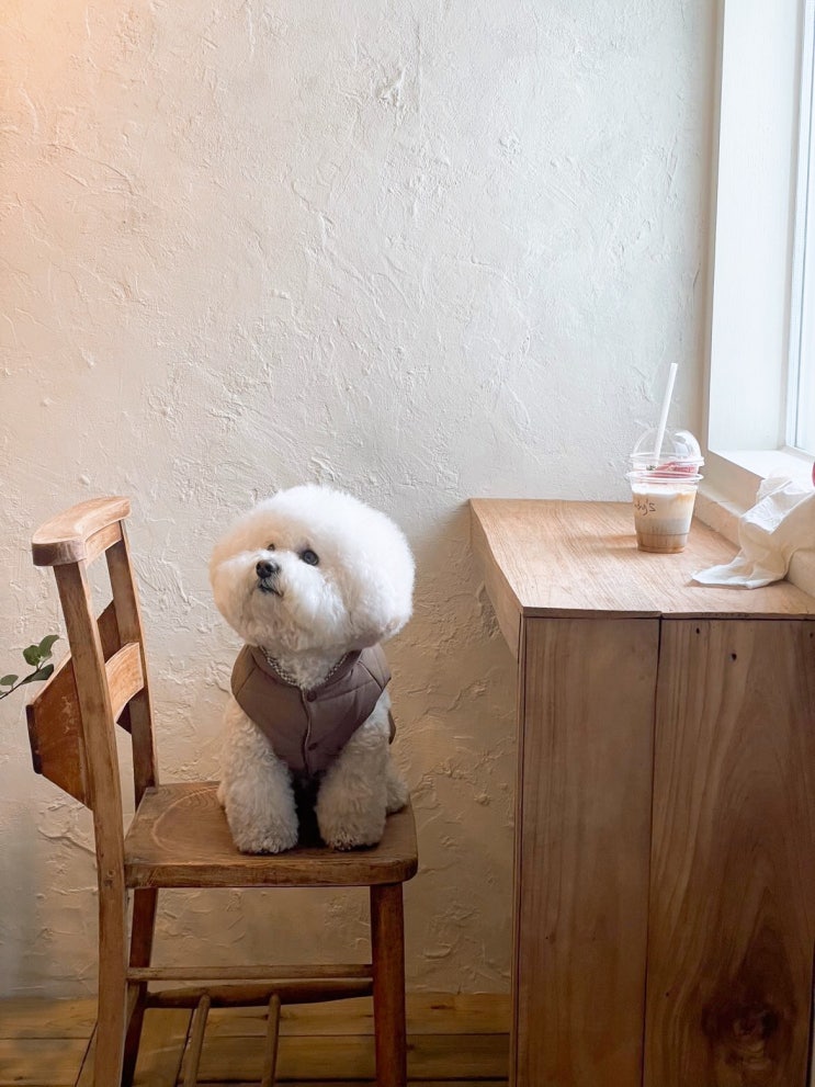  서울 연남동 애견동반카페_브래디스커피(brady's coffee)