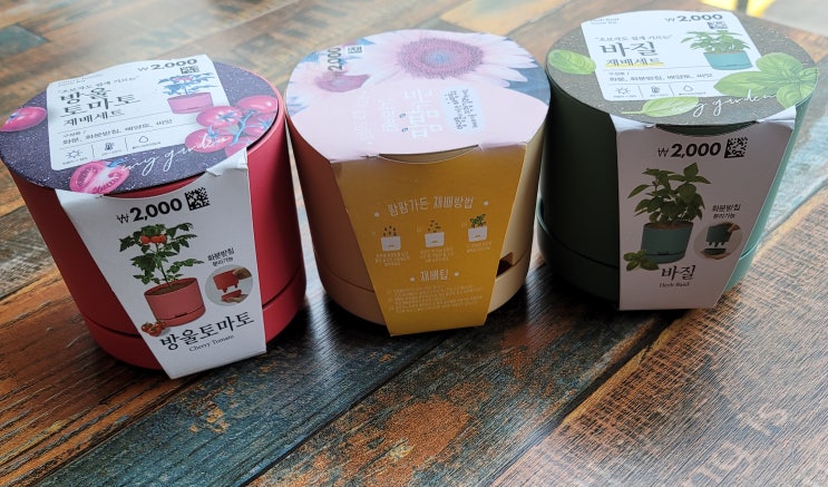  새로운 식물키우기