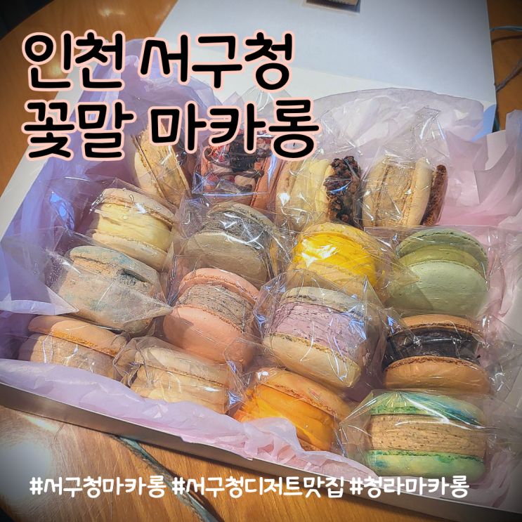  발렌타인데이 이벤트 to 남자친구(feat. 서구청 꽃말마카롱)