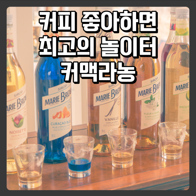  대전 근처 옥천 대형 카페