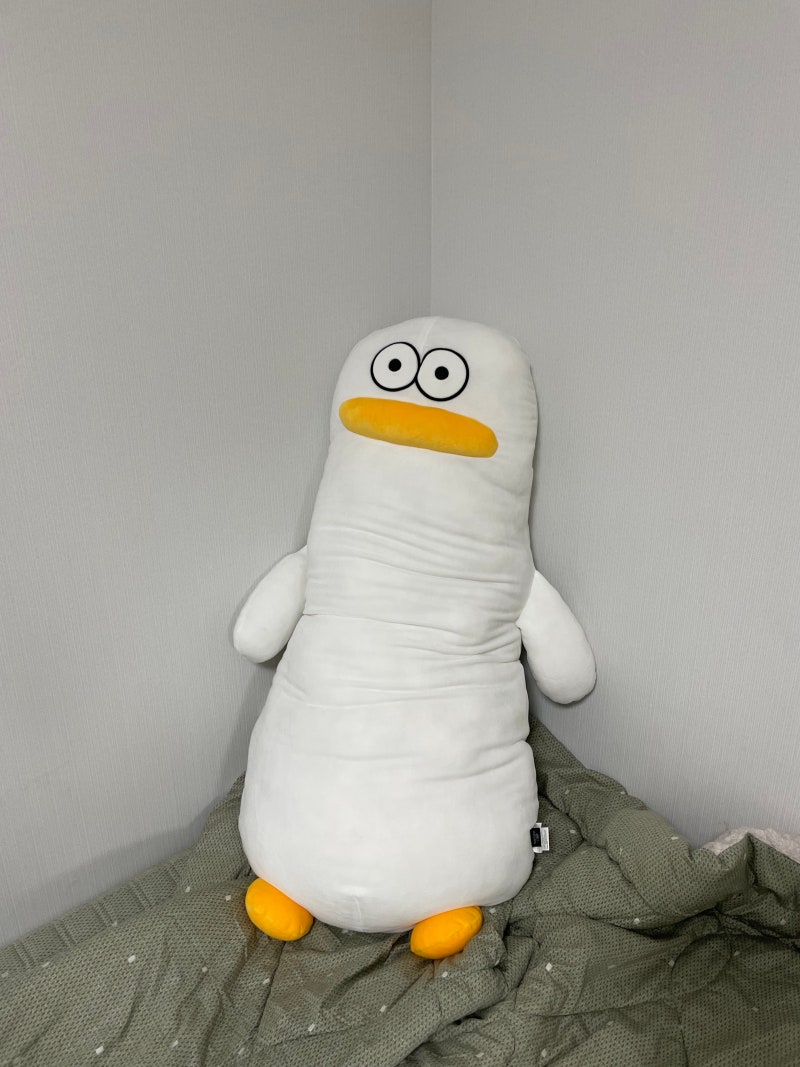 [오둥이 바디필로우] 오둥이 입니다만..