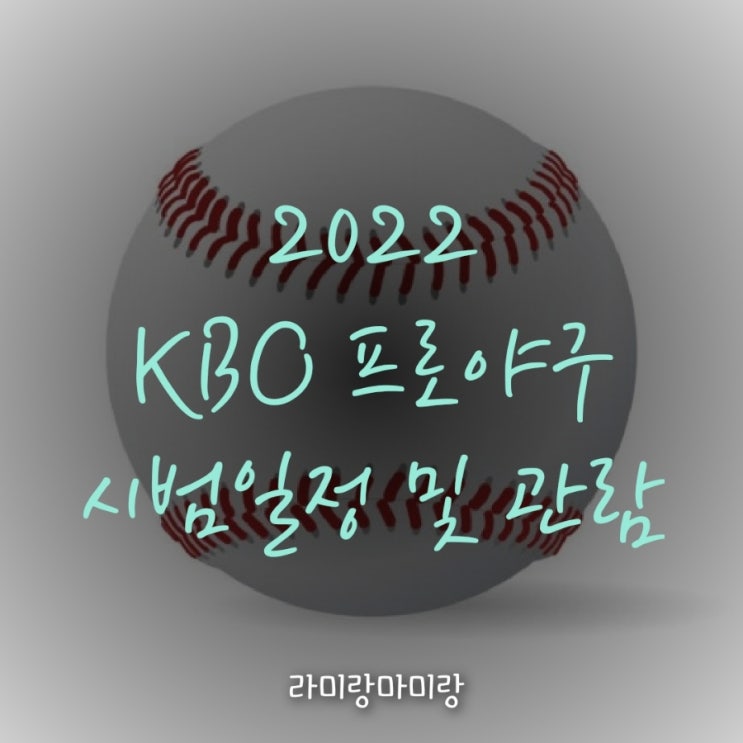 [2022 프로야구 개막] KBO 40주년 시범경기 일정 및 관중입장