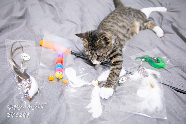 고양이 장난감 리필용 냥템점 4단 낚시대로 놀아주기