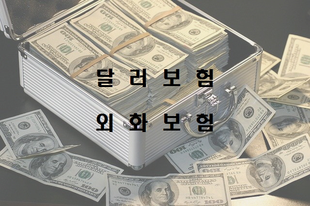  달러종신보험! 달러연금보험! 달러변액보험 환차손 우려 금융당국 예의주시