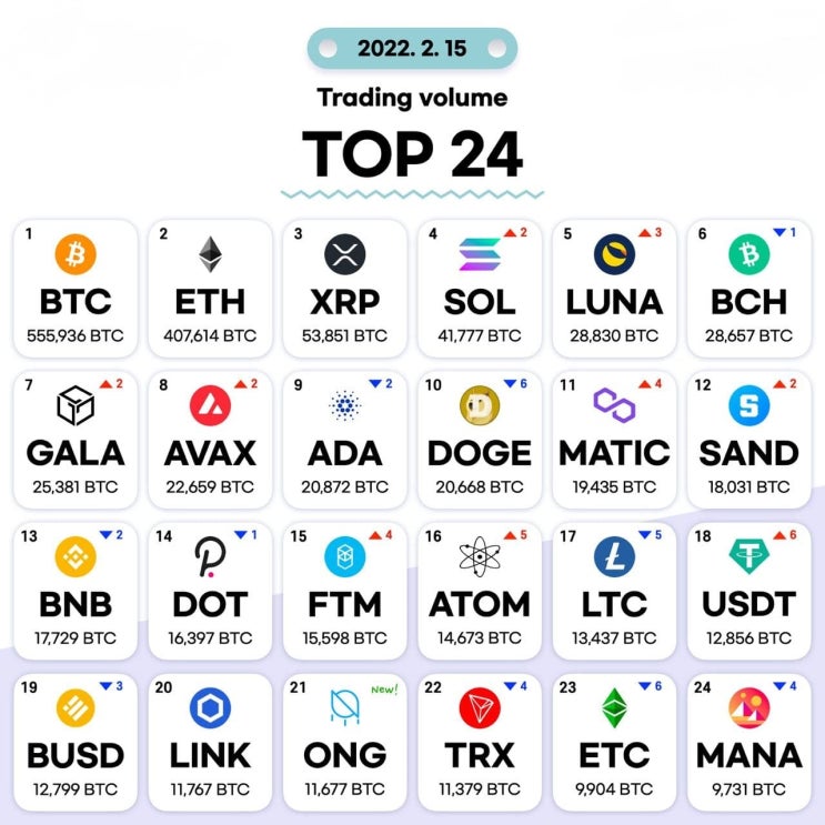 2월15일 거래량 TOP 24 및 투자 목록