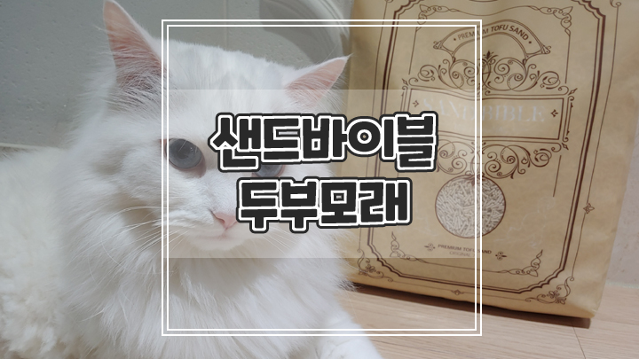  고양이모래 펫프렌즈 샌드바이블 초슬림 입자로 기호성이 높아요