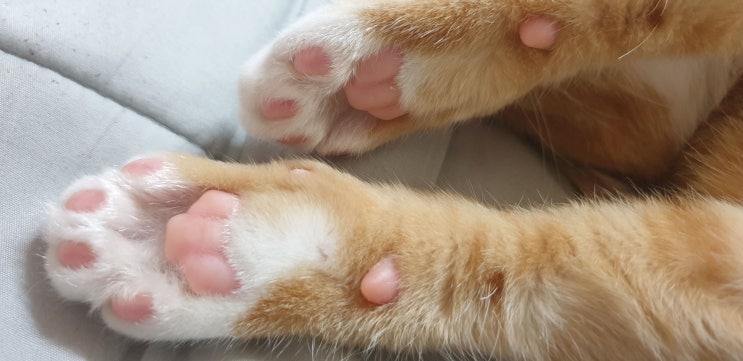  진심릴레이 다음 분들 준비 하세요!