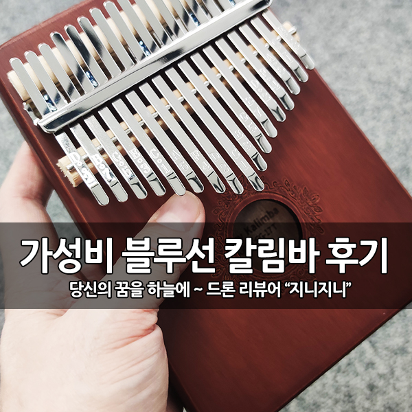집콕 취미, 누구나 쉬운 연주 블루선 칼림바 추천 집콕 취미, 누구나 쉬운 연주 블루선 칼림바 추천