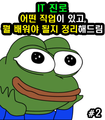  IT 진로, 어떤 직업이 있고, 뭘 배워야 할지 정리해드림! #2