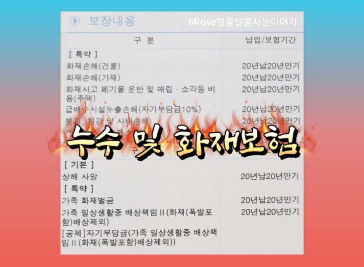  월1만원대로 전세준 집 누수.화재 보험과 현재 제가 살고 있는 전세집도 같이 보험 들었어요.