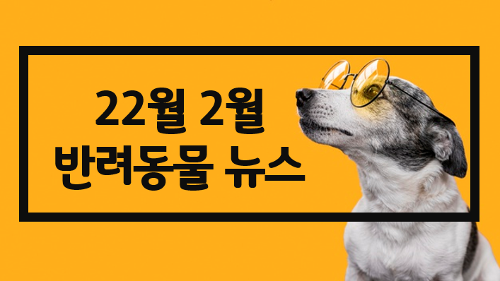  2월 펫소식 #반려견산책 #과태료 #카카오 #펫택시