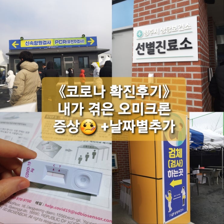  《코로나 오미크론 확진후기》오미크론 증상c 날짜별 증상 및 통증재택치료 1일차c