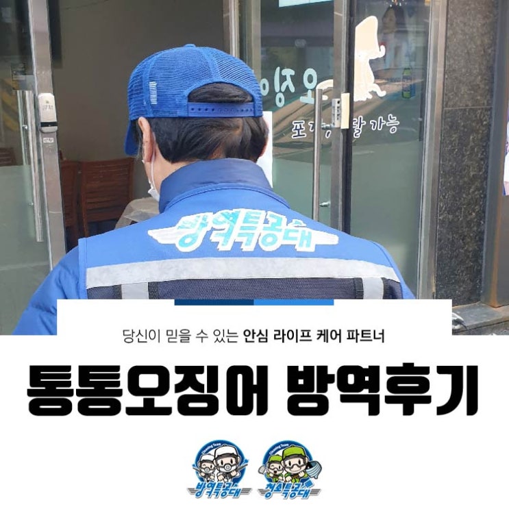  통통 오징어 방역 후기