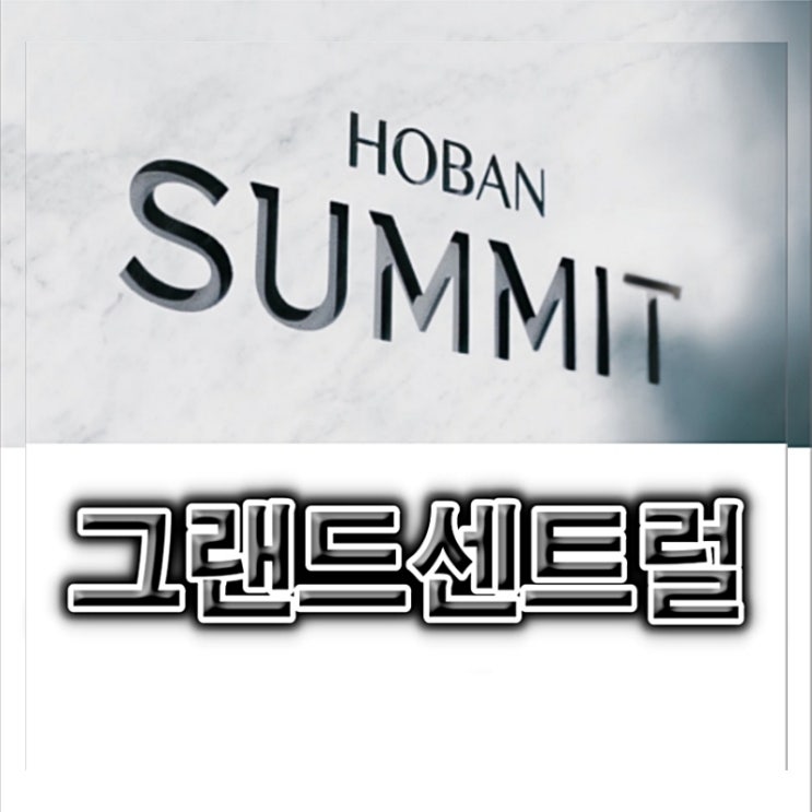 호반써밋 그랜드센트럴 대전 도마변동 11구역 주택 사업 아파트 소식
