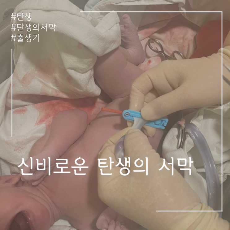  그의 탄생