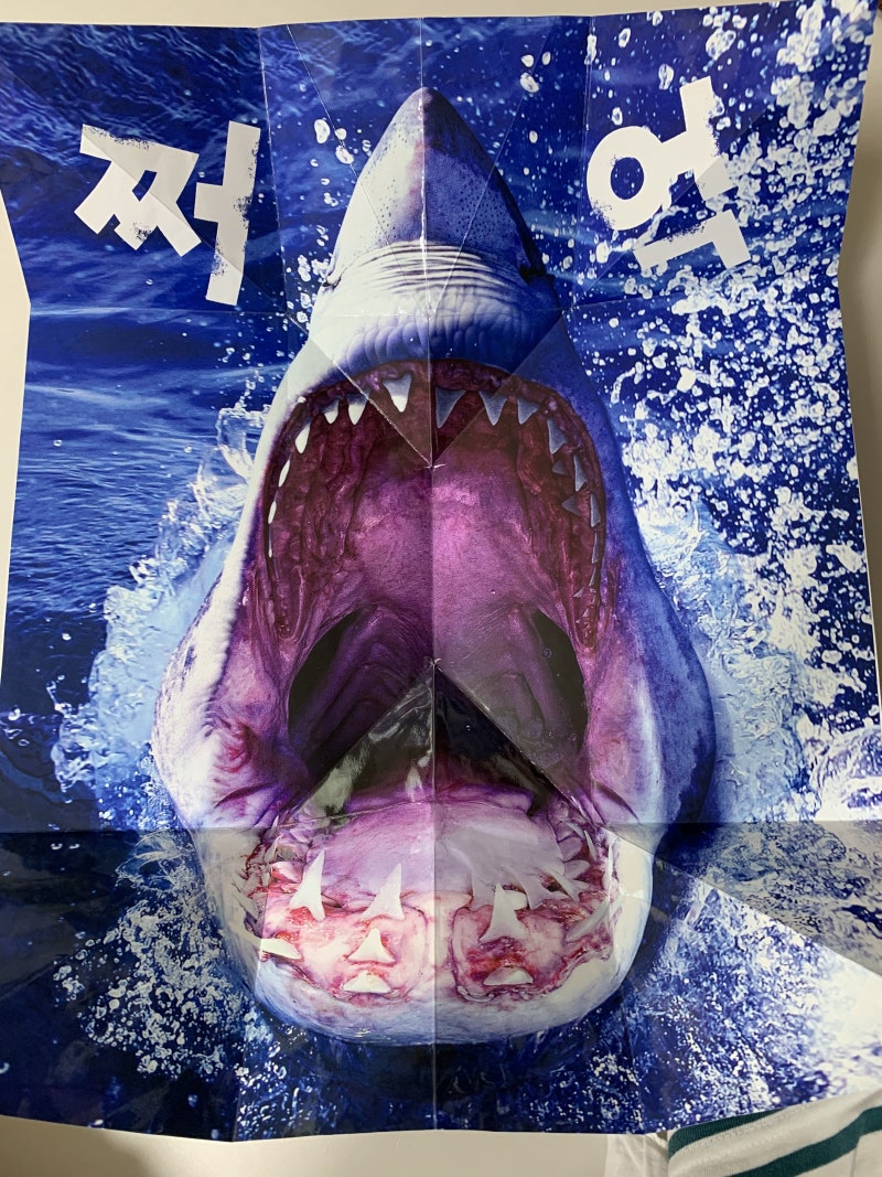 영화\u003e Jaws 와 \u003c책\u003e 상어를 조심해 (놀라운 자연) 리뷰 : 네이버 블로그, image size:800x1067