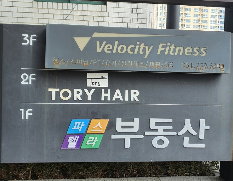  수영 벨로시티휘트니스 일권 리뷰(수영헬스장,수영일일권)