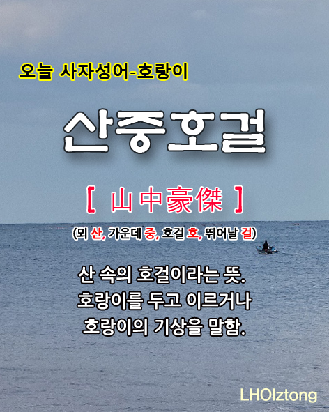 [776] 오늘 사자성어 산중호걸(山中豪傑)의 뜻은?