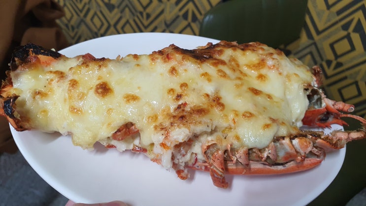  [사천 벌리동] 현지인이 추천해준 술집: 비엔나 실비