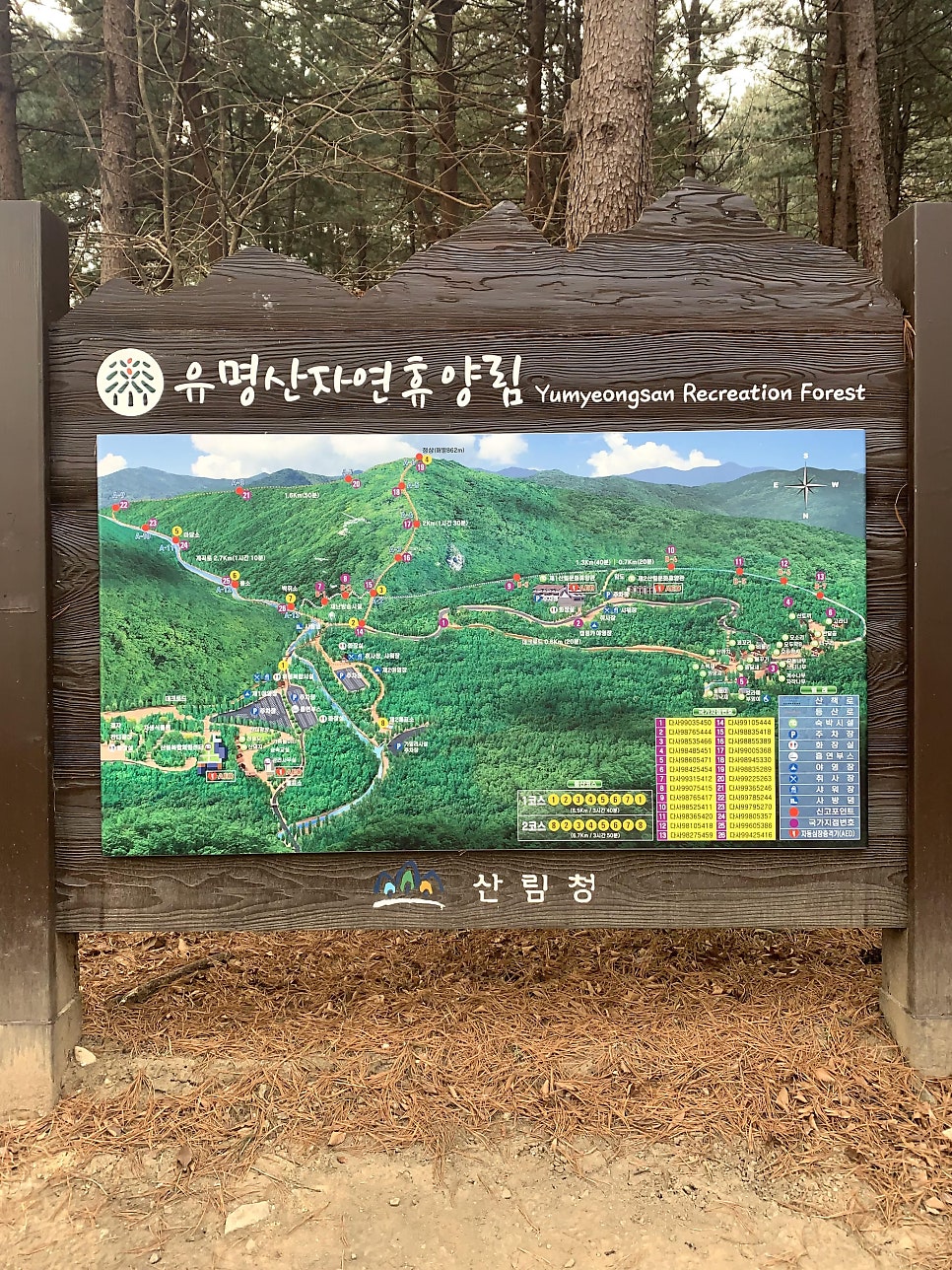 솔가든 사진 3