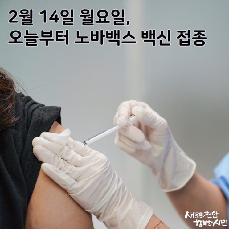 2월 14일 월요일, 오늘부터 노바백스 백신 접종