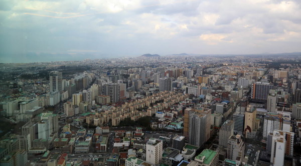 제주도 부동산 시장 전망으로 본 아파트, 토지 매매