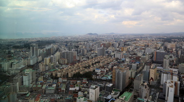 제주도 부동산 시장 전망으로 본 아파트, 토지 매매