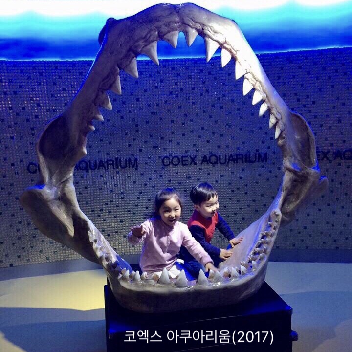 순간포착 2월 15일에 이런일이 | 슬쌍디아빠 과거로의 산책