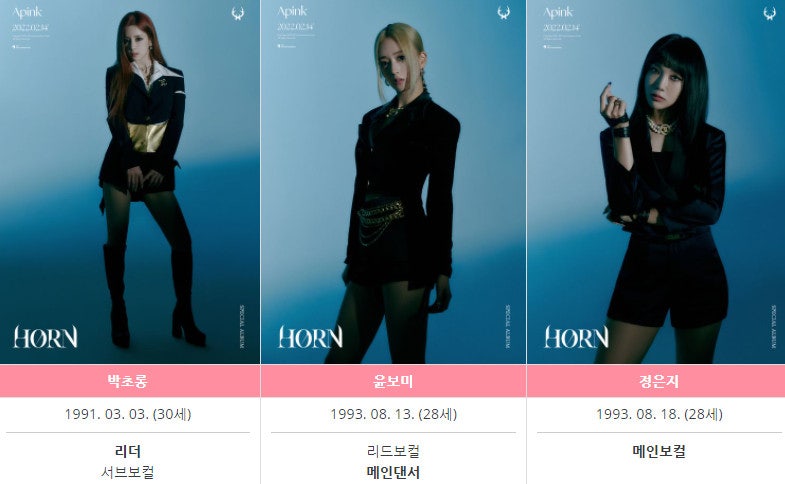 에이핑크 박초롱 정은지 김남주 오하영 손나은 나이 본명 키 학력 인스타 재테크 펀드 연금 ....