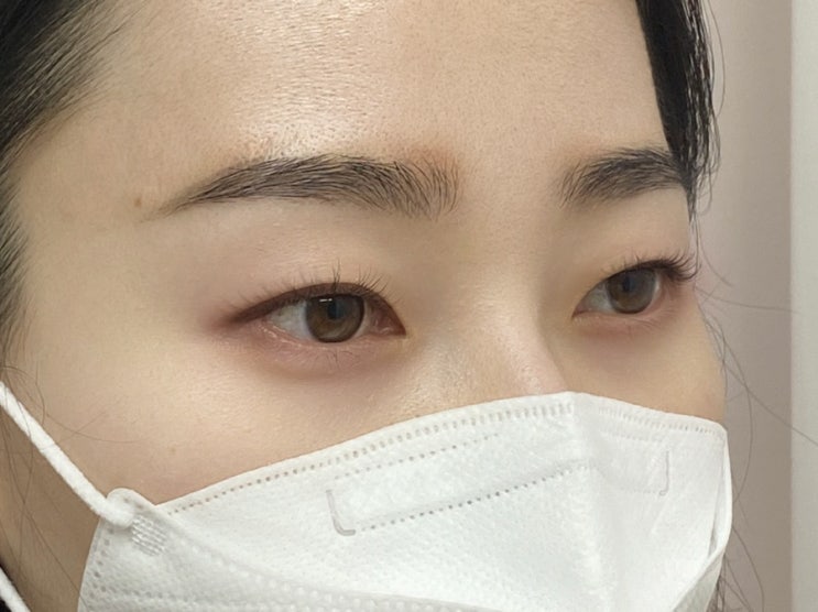  강남구청역 속눈썹펌 뷰티샵 수노아에서 브로우컷하고왔어요!