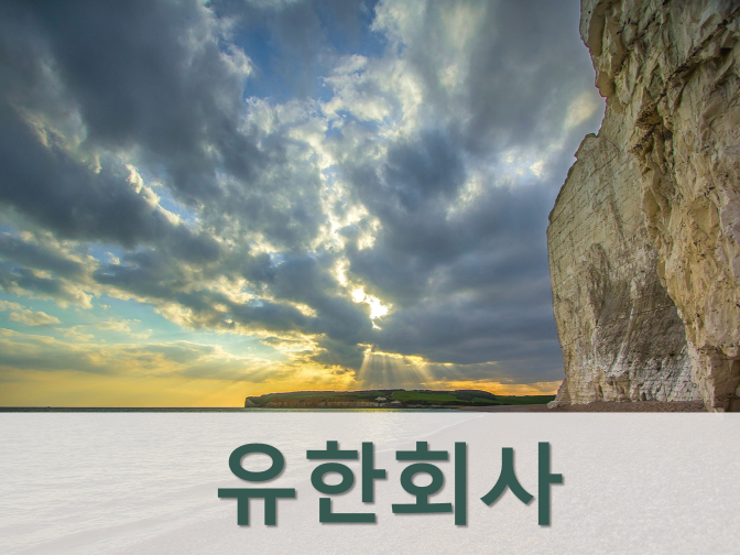  유한회사 설립등기 절차 핵심정리!!