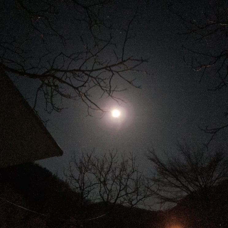  보름달