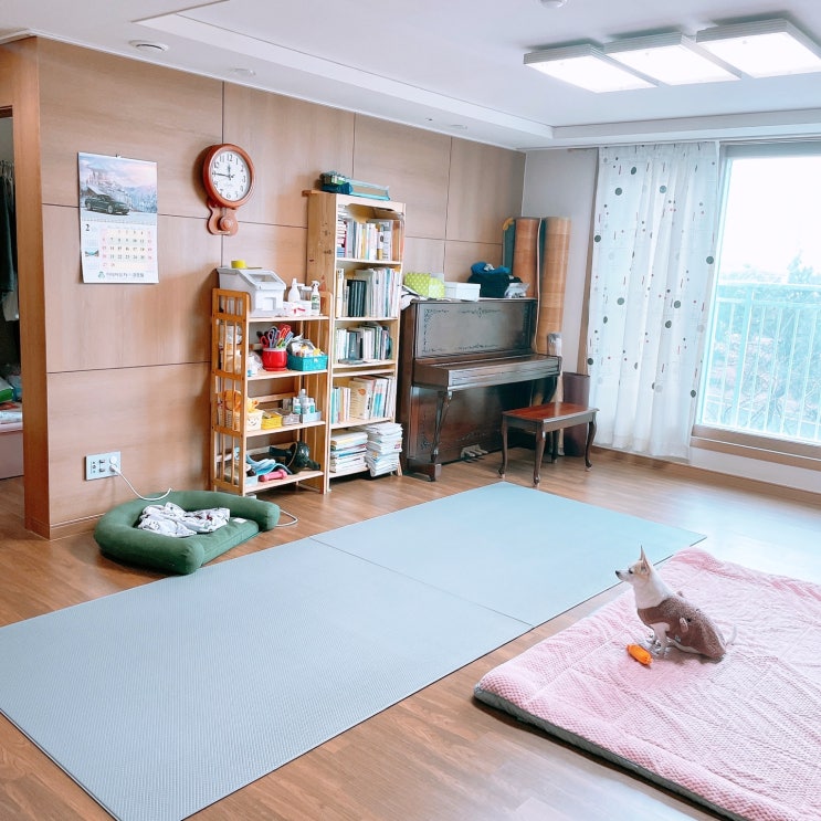  방수되는 강아지매트 내돈내산 디팡 펫플레이매트 솔직후기