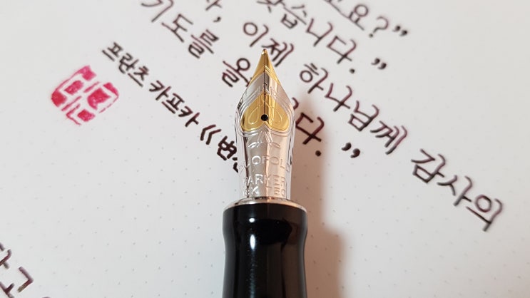  프란츠 카프카 〈변신〉 中 (ft. 파카 듀오폴드 빅레드 F닙 만년필 실제 사용 영상)