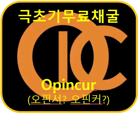  신규 무료 채굴 소개 Opincur Project. 오핀서 CIO 코인을 미리 선점해볼까요? 군더더기 없는 깔끔한 앱이라고 해두죠.