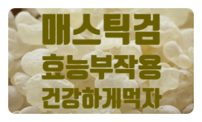  위건강에 탁월한 매스틱검 효능 부작용 먹는방법