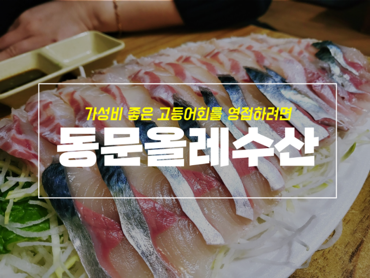  제주 동문시장 올레수산 고등어회 후기 with 4살 아기