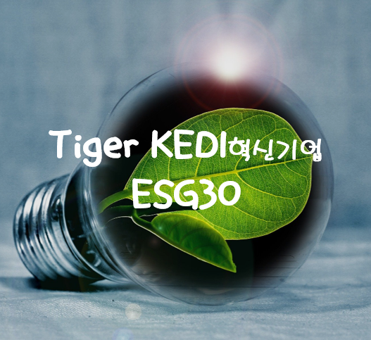  혁신과 ESG 둘 다 챙기는 Tiger KEDI혁신기업 ESG30 ETF 분석