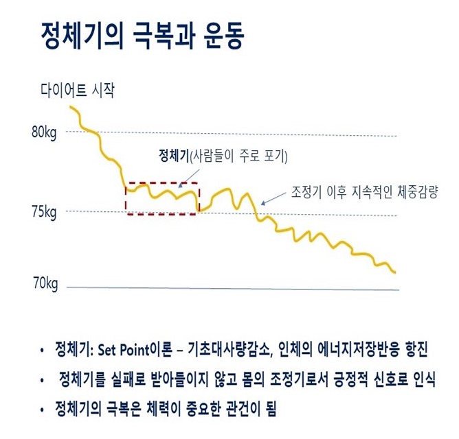  다이어트정체기 원인과 극복방법, 세트포인트 이론(set point theory)
