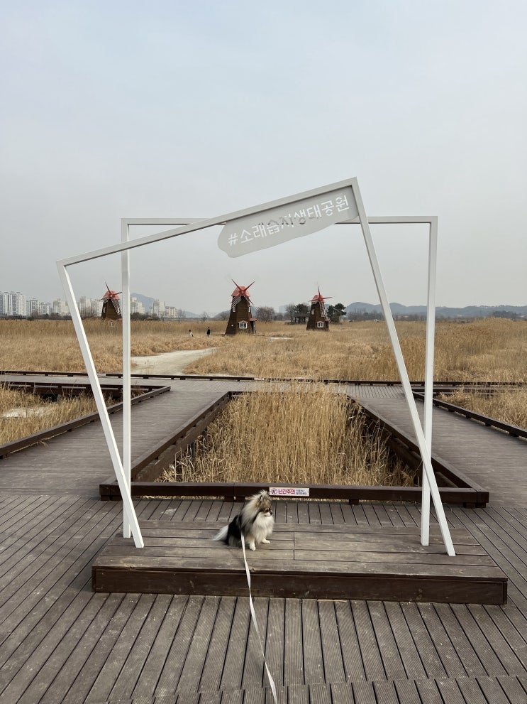  꾸꾸와 소래습지생태공원을 다녀왔어요