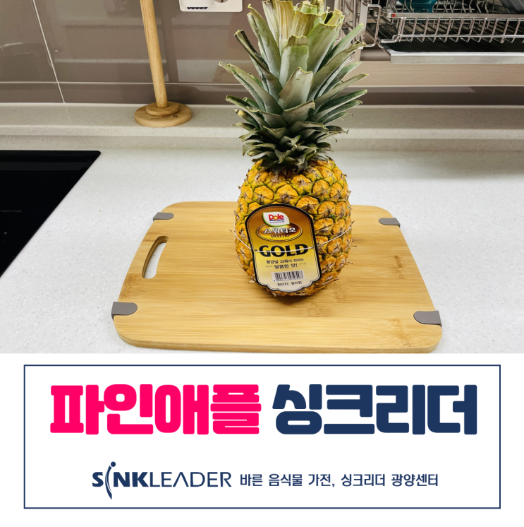 싱크리더 파인애플 껍질 이승기 음식물처리기로 될까 안될까