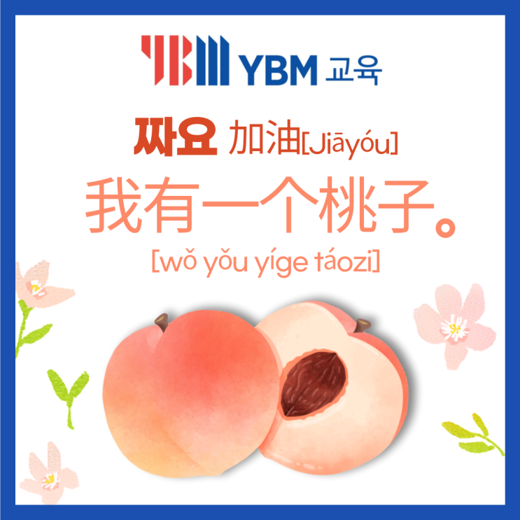 YBM중국어 쨔요, 我有一个桃子。