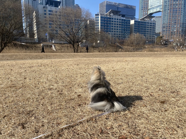  오늘도 변함 없는 꾸꾸의 일상