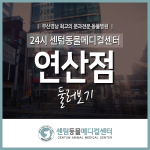  24시 센텀동물메디컬센터 연산점 둘러보기 (지정 주차장 안내 포함 / 2022.02 업데이트)