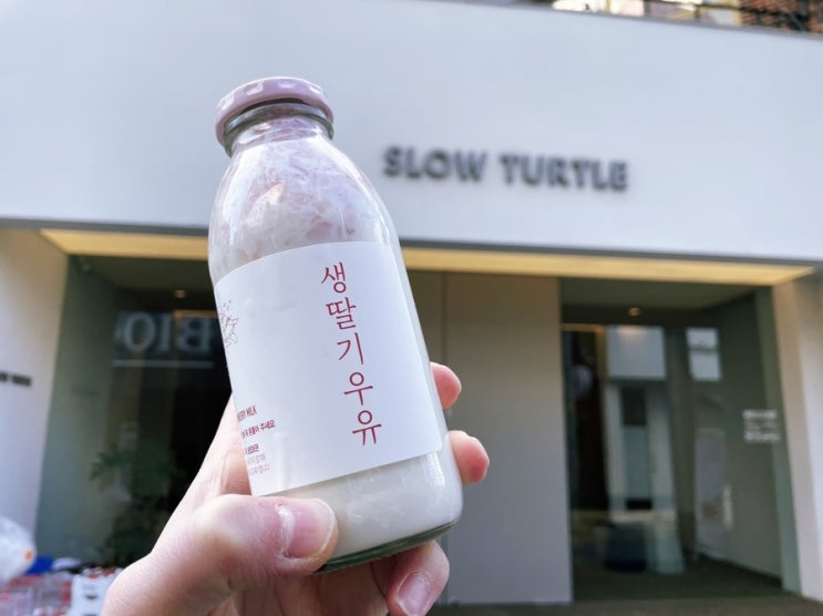  [대구/슬로우터틀] 생딸기우유 맛집 슬로우터틀 동성로점, 딸기케이크 맛집, 슬로우터틀 택배, 대구 시내 카페 추천, 슬로우터틀 메뉴 홀케이크